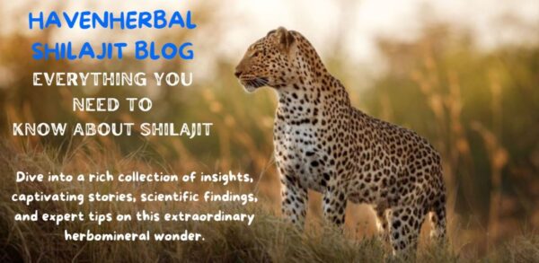 Shilajit 50g - Image 5
