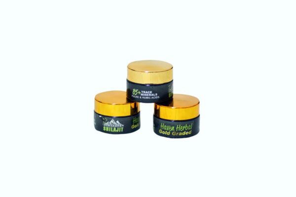 Shilajit 20g